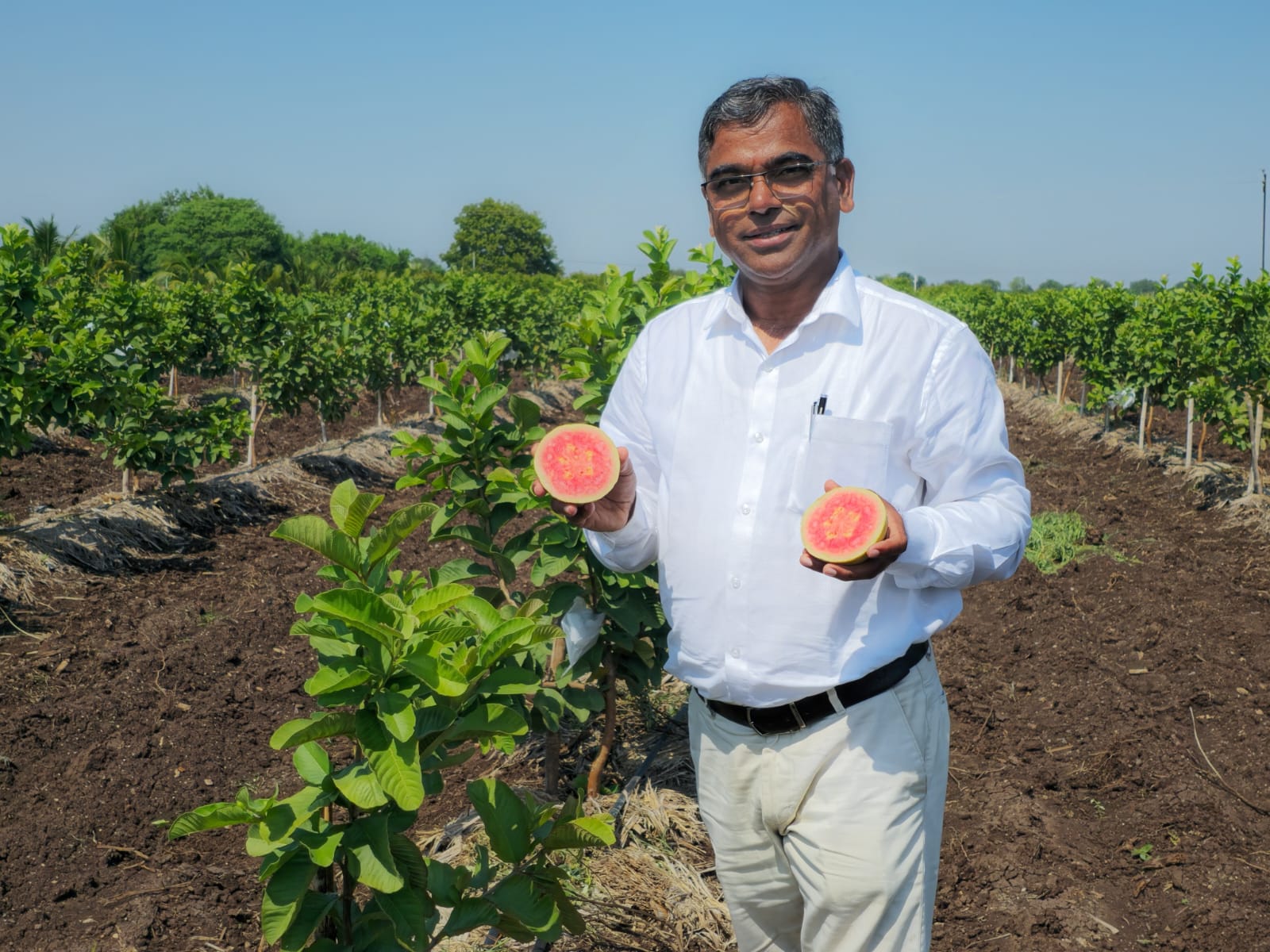 Wable Patil Farm Photo 1